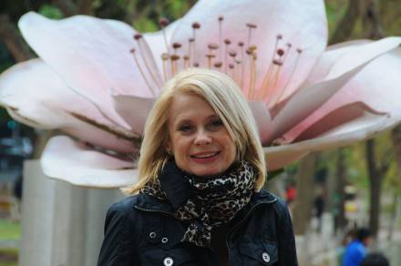 1908230_212114695655352_1996558567_n