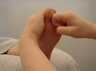 Grip_C_-_Pituitary_Gland